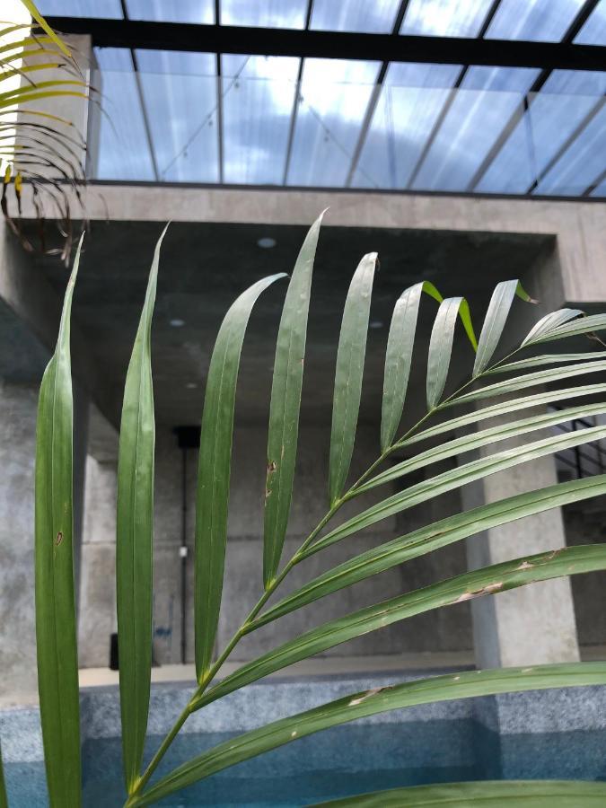 Hotel Suites La Negra Boutique Mérida Kültér fotó