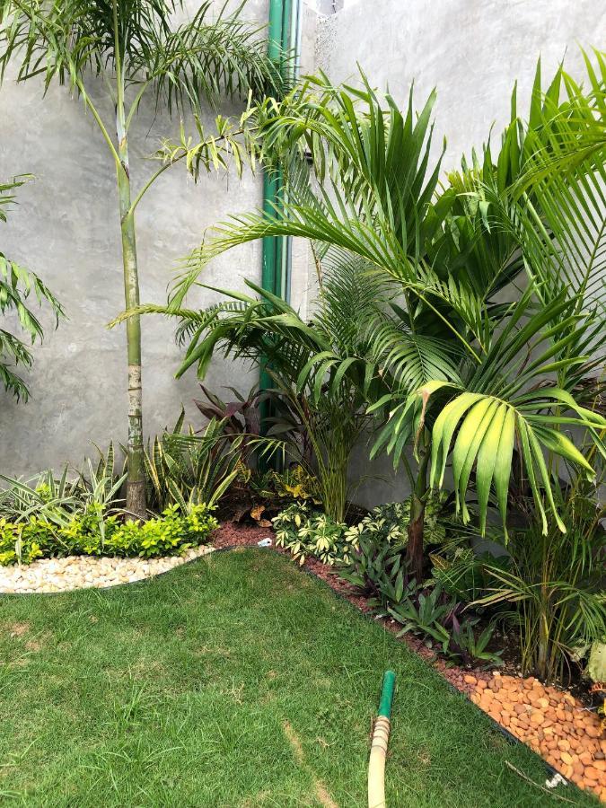 Hotel Suites La Negra Boutique Mérida Kültér fotó
